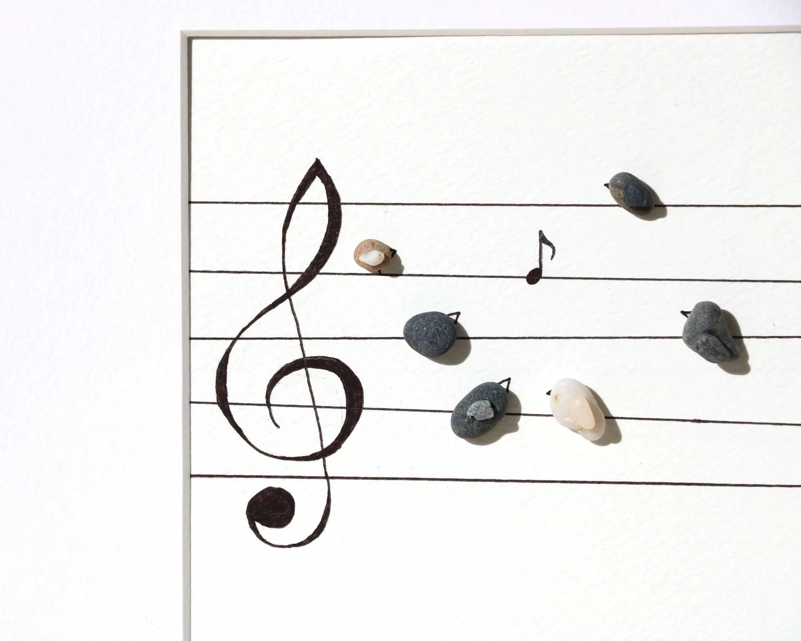 Música para pájaros - Imagen 2