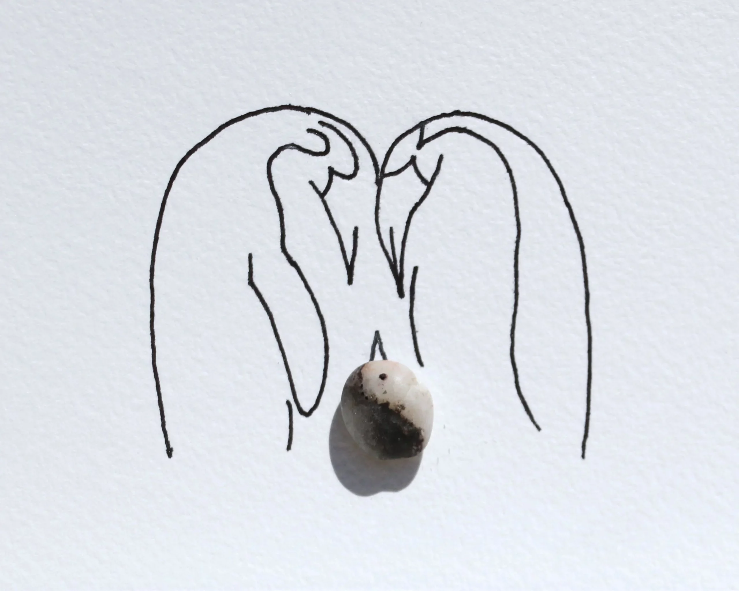 Pingüinos I - Imagen 2