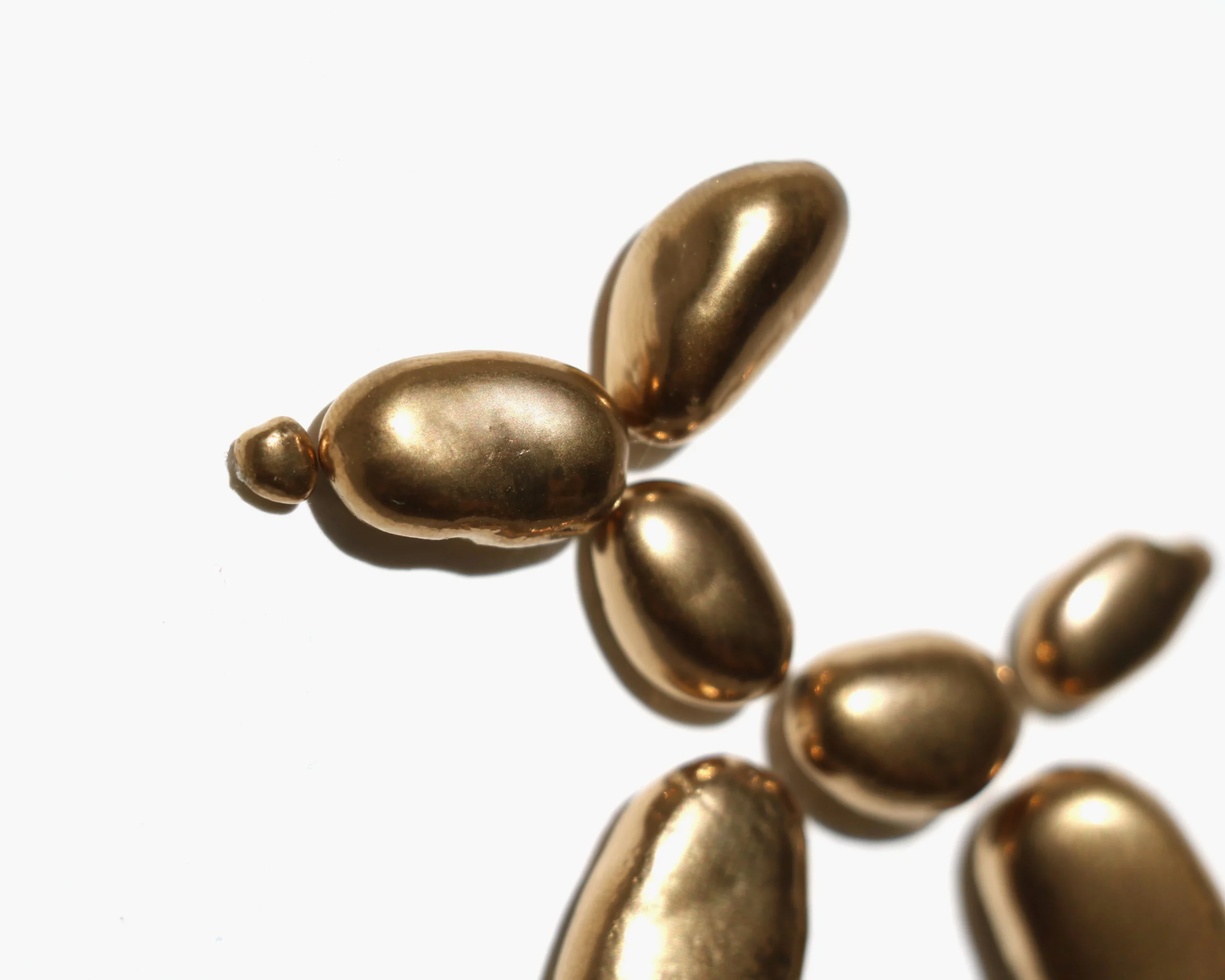 Baloon poodle - Imagen 2